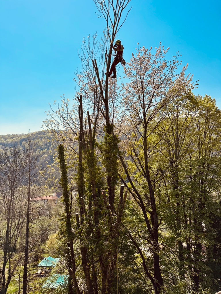 Zona giorno